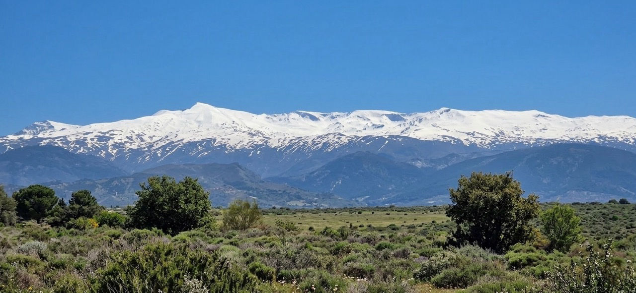 Soportujar