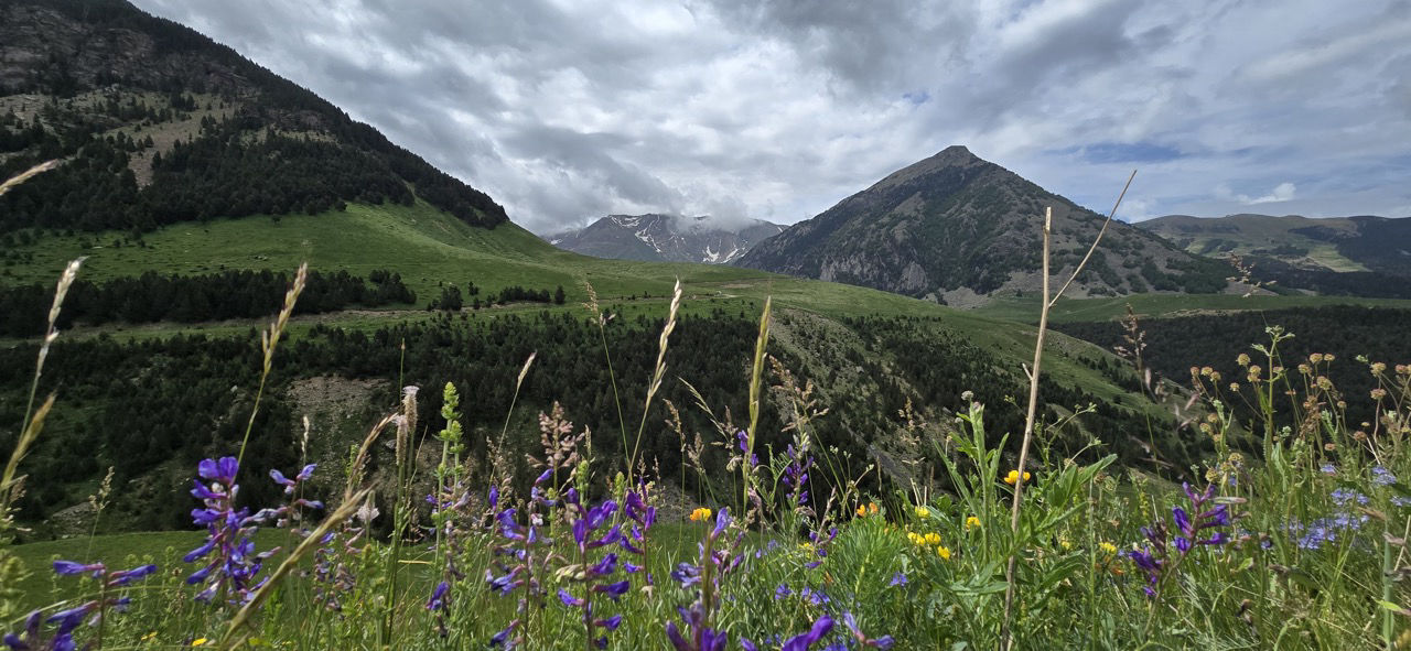 Pirineo Aragonés