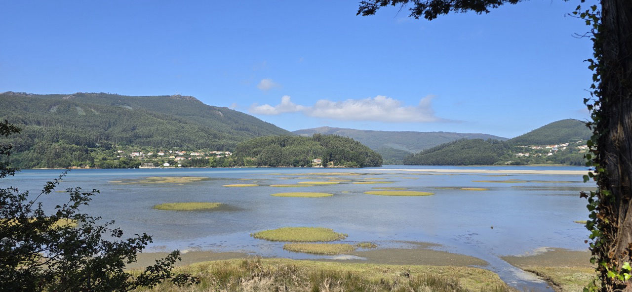 Ortigueira