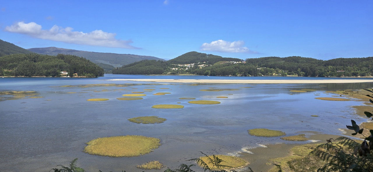 Ortigueira