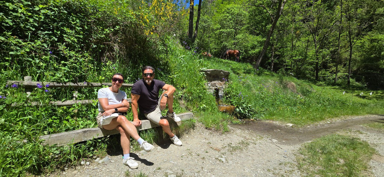 French Pyrenees